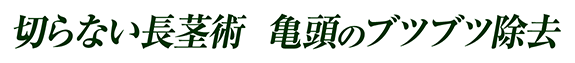 切らない長茎術 亀頭のブツブツ除去
