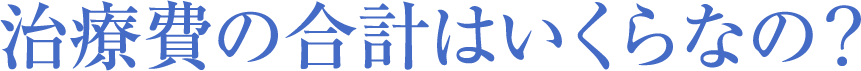 治療費の合計はいくらなの？